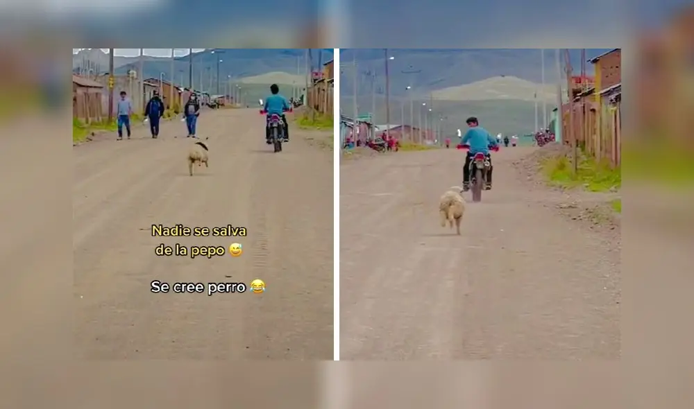 La grabación de @kellycharacastill sumó medio millón de reproducciones. Foto: captura de TikTok