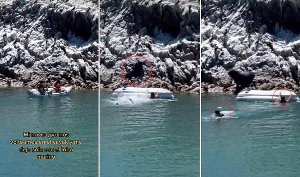 La viral escena fue compartida en diferentes plataformas sociales y logró obtener más de 933.000 reproducciones y  miles de reacciones. Foto: captura de TikTok