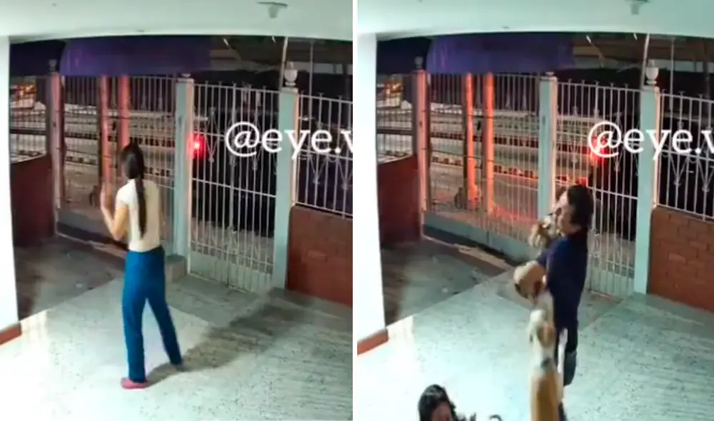 Una familia quedó realmente sorprendida al ver que su amada mascota que se había perdido por varios días llegó sola a su casa. Foto: captura de Facebook Una familia quedó realmente sorprendida al ver que su amada mascota que se había perdido por varios días llegó sola a su casa. Foto: captura de Facebook