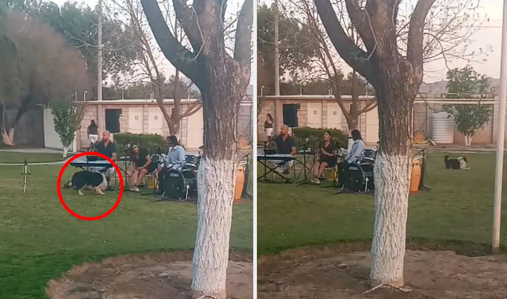 A pesar de los inconvenientes, los músicos continuaron con su presentación para deleitar a los habitantes de un vecindario con su talento. Foto: captura de Facebook