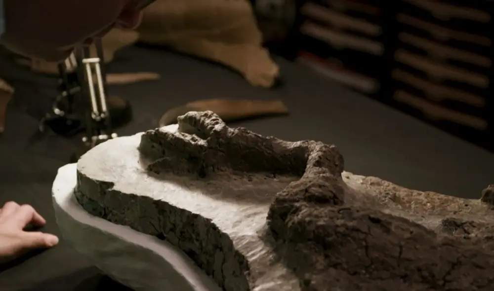 El descubrimiento del muslo del thescelosaurus, así como las primeras impresiones de los científicos, ha sido filmado para un documental de la BBC titulado “Dinosaurs: The Final Day”. Foto: captura de pantalla / BBC