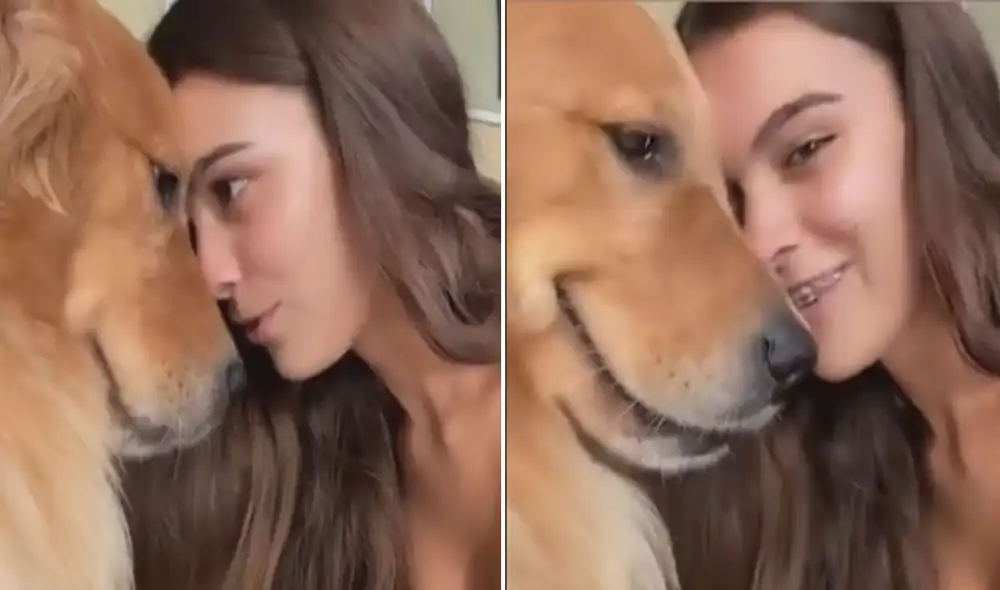 El tierno gesto de este perrito logró conmover a miles en las redes sociales. Foto: captura de TikTok