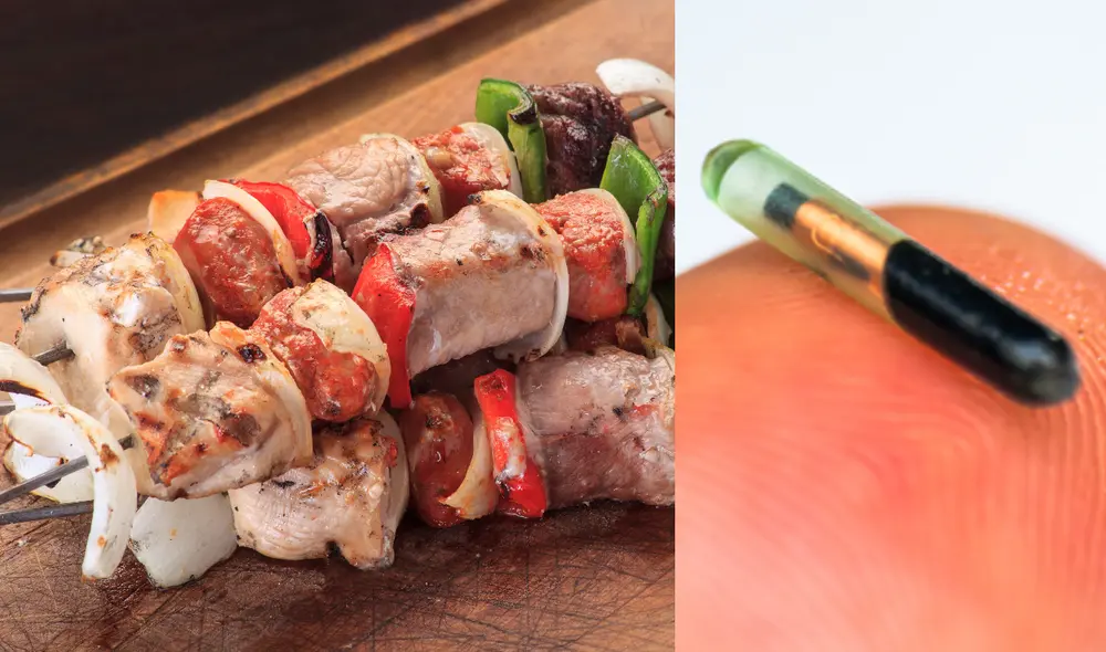 Una fémina residente de la comuna de Estación Central comió unas brochetas sin saber que se tragaría, con ellas, un chip de perro. Foto: composición LR.