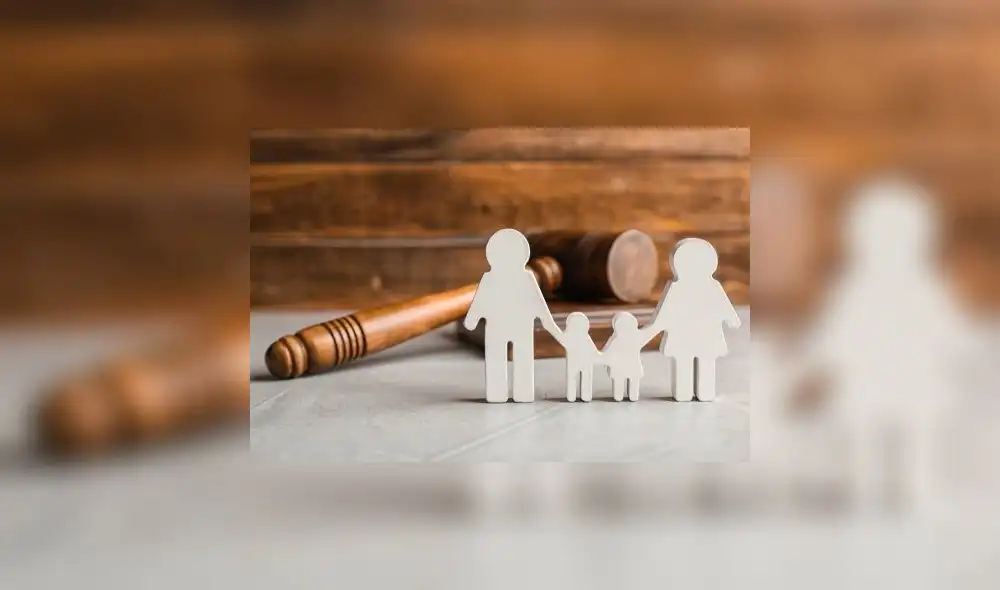 Tenencia compartida es debatida en el pleno. Foto: difusión