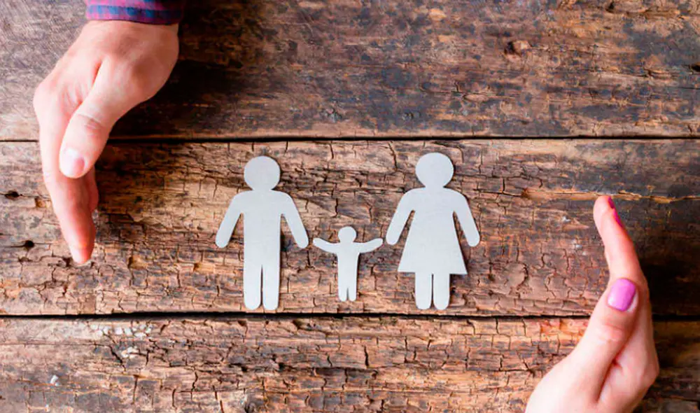 Tenencia compartida fue aprobada en el pleno. Foto: difusión