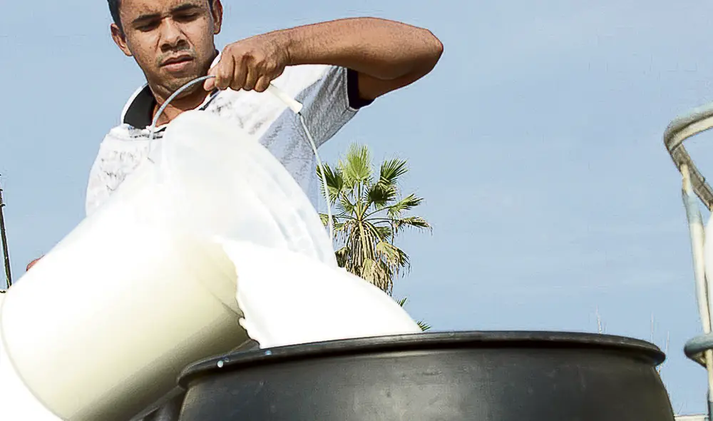 Lácteo. Producción lechera del Perú asciende a 5 millones de litros, según el ministro de Desarrollo Agrario y Riego. Foto: difusión.