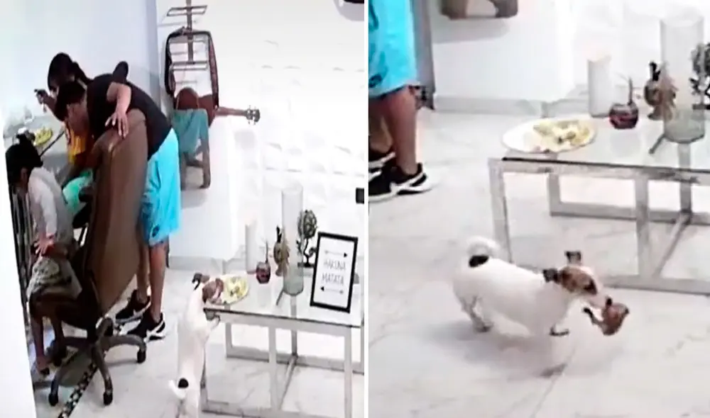 Miles de usuarios no han parado de reír con estas imágenes. Foto: captura de TikTok