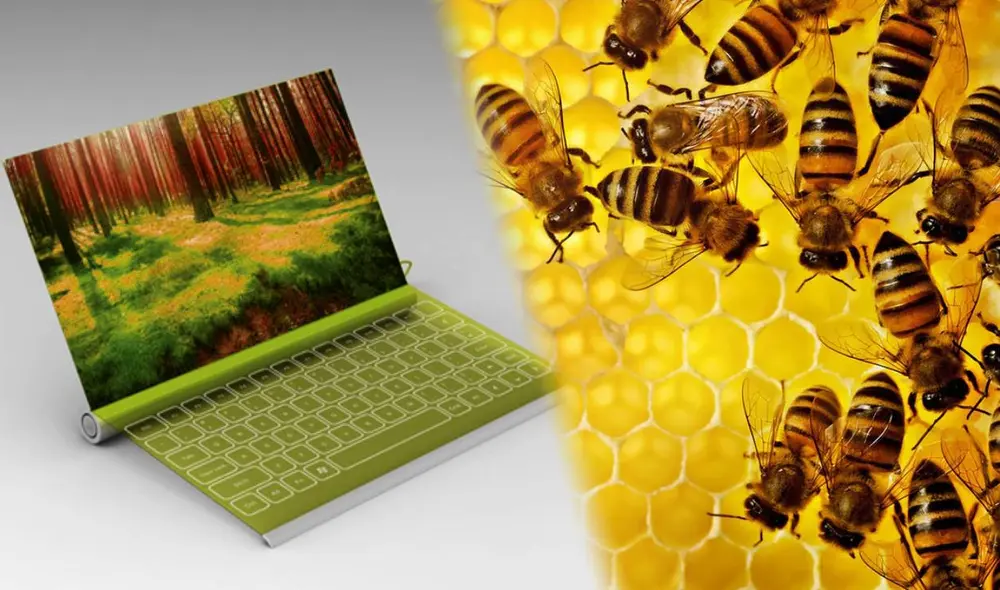 Las CPU del futuro durarían más y serían completamente biodegradables. La clave para esto es la miel que fabrican las abejas. Foto: Instituto León/Development and Design Today