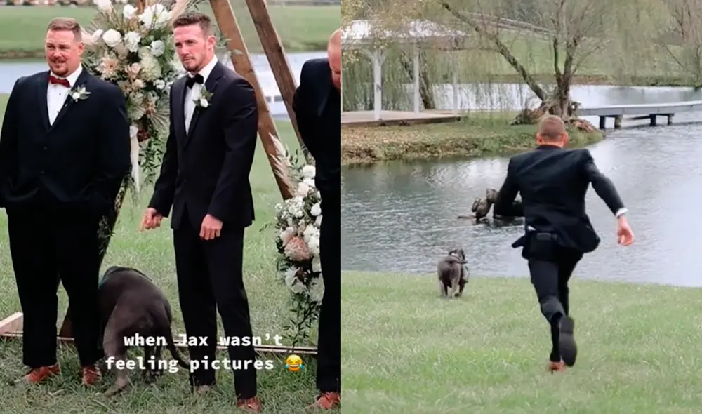 El perrito Jax prefirió nadar en el lago, en vez de posar con los amigos de su dueño. Foto: captura de TikTok El perrito Jax prefirió nadar en el lago, en vez de posar con los amigos de su dueño. Foto: captura de TikTok