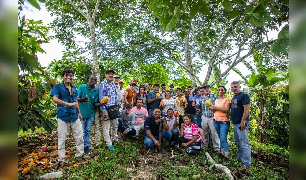 Cacaoteros de Piura y de diferentes países participarán en el concurso. Foto: Progreso