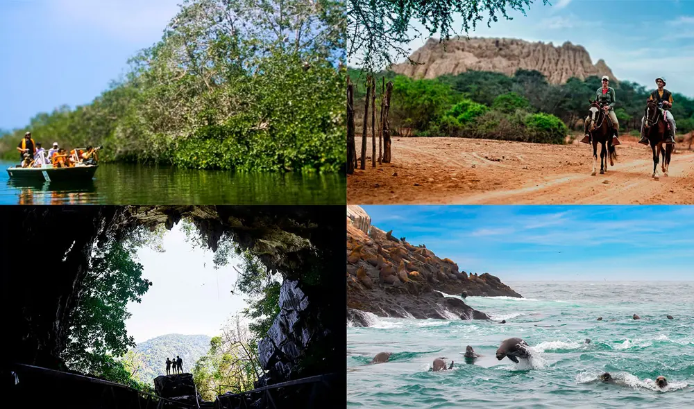 Conoce 6 destinos que te fascinarán con sus increíbles paisajes y biodiversidad. Foto: composición PromPerú/Y TÚ Qué Planes