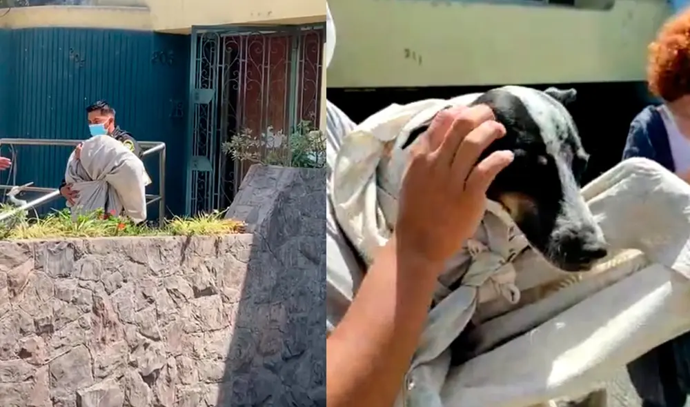 PNP ingresó a la vivienda y rescató a Mía. Denuncia se hizo viral en redes sociales. Foto: composición La República / Fotos: Esperanza Callejera PNP ingresó a la vivienda y rescató a Mía. Denuncia se hizo viral en redes sociales. Foto: composición La República / Fotos: Esperanza Callejera