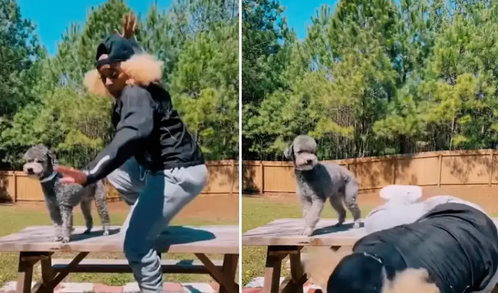 La joven terminó en el piso al intentar recrear una divertida coreografía de baile. Foto: captura de TikTok