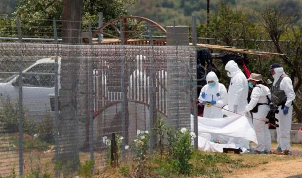 Peritos forenses trabajan en el área donde se encontraron los cuerpos en el oeste de México. Foto: AFP Peritos forenses trabajan en el área donde se encontraron los cuerpos en el oeste de México. Foto: AFP
