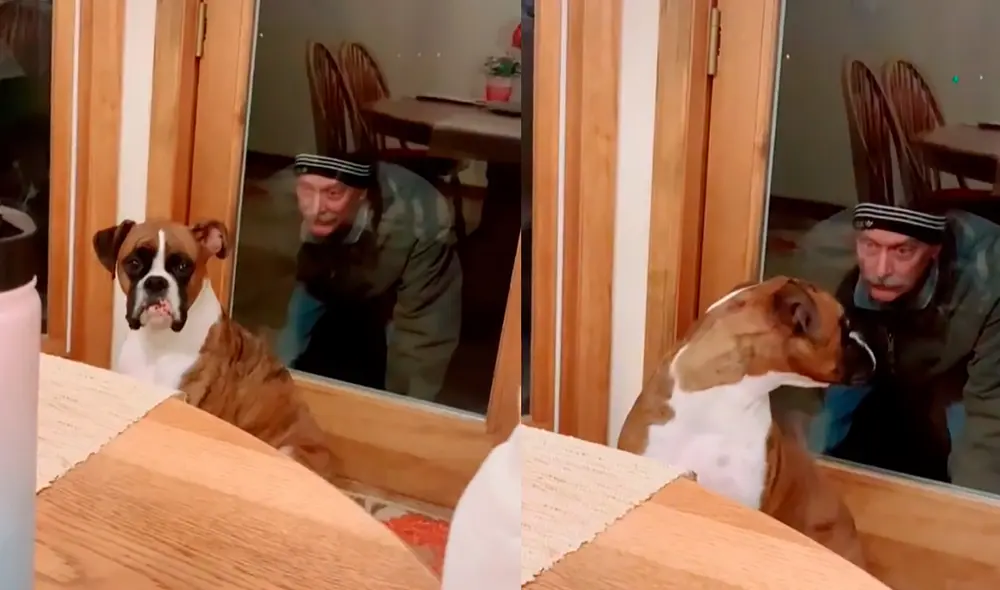 El divertido video cuenta con más de 3 millones de visualizaciones. Foto; captura de TikTok