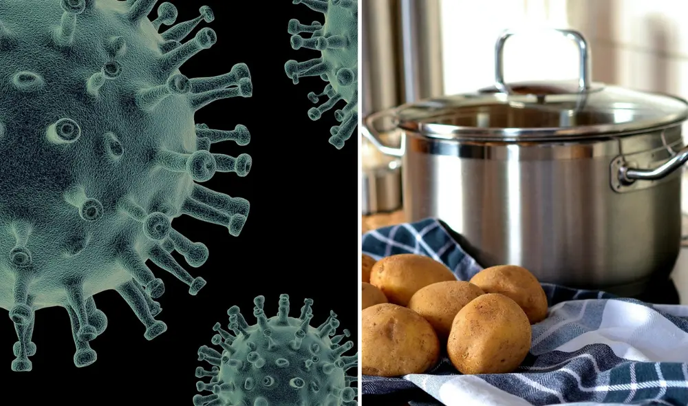 Existe un utensilio en la cocina que puede convertirse en un foco central de bacterias. Foto: composición/Pixabay