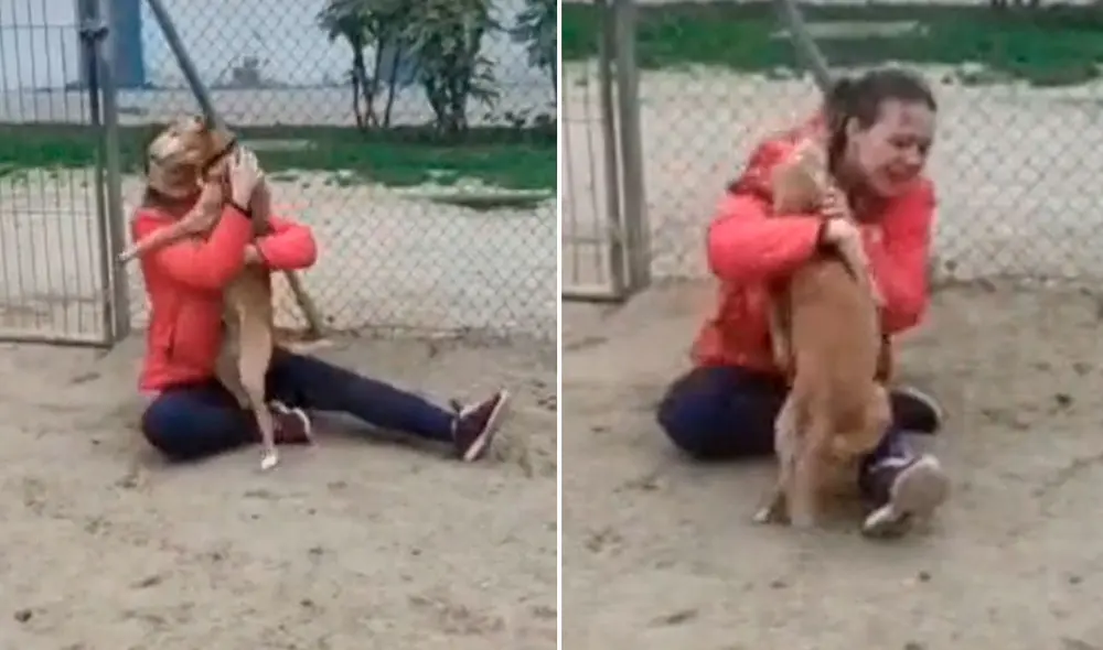 La emotiva escena logró conmover a miles  de usuarios en las redes sociales. Foto: captura de TikTok