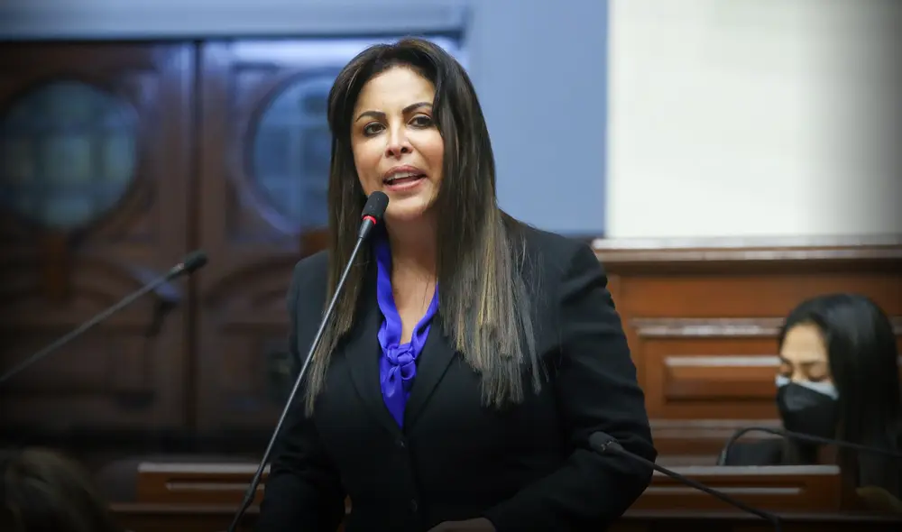 Según el informe, los insultos de Chirinos no solo constituyen una frase desafortunada sino también una falta de respeto a una máxima autoridad. Foto: Andina Según el informe, los insultos de Chirinos no solo constituyen una frase desafortunada sino también una falta de respeto a una máxima autoridad. Foto: Andina