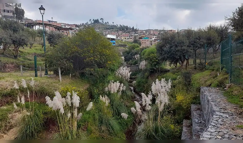 El parque se ubica en la Asociación Pro Vivienda Camino Real. Foto: URPI/Luis Álvarez