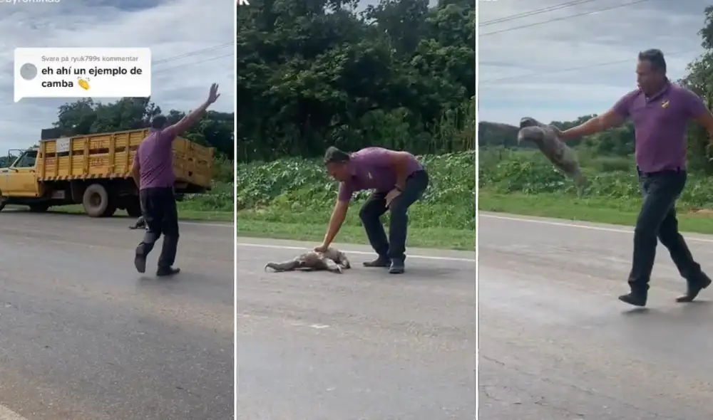 La viral escena logró obtener millones de reproducciones en poco tiempo y fue compartida en diferentes redes sociales. Foto: captura de TikTok