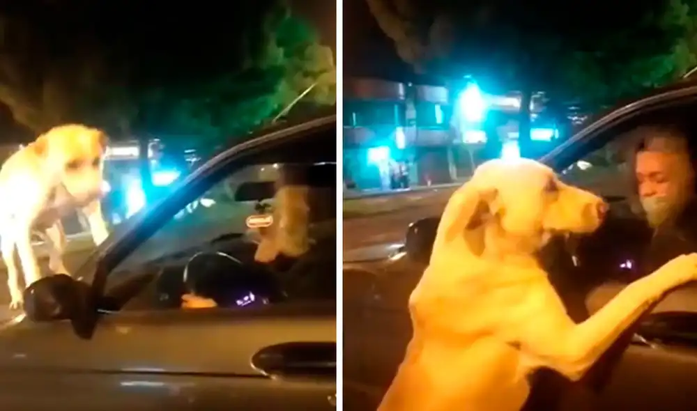 Un joven aprovechó que el semáforo estaba en rojo para encarar a la mujer, quien tuvo una actitud prepotente en todo momento. Foto: captura de YouTube