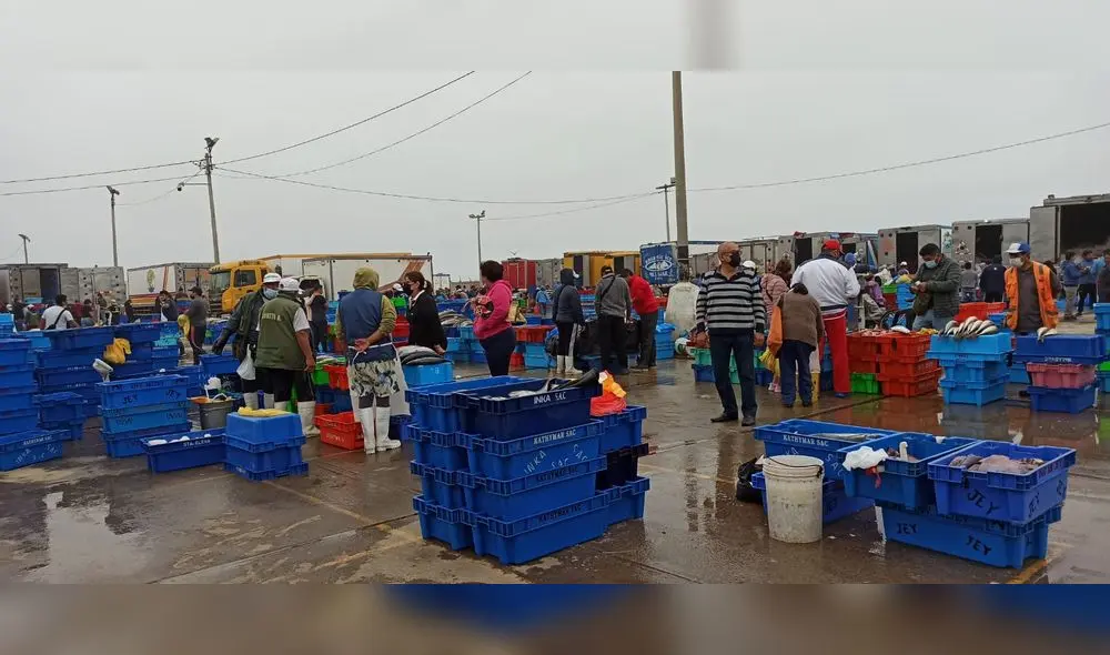 En Semana Santa, la gente reemplaza la carne por pescado y hace que este suba su precio. Foto: Y. Goicochea/La República En Semana Santa, la gente reemplaza la carne por pescado y hace que este suba su precio. Foto: Y. Goicochea/La República