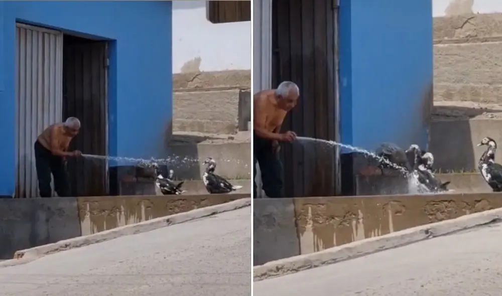 El emotivo clip fue grabado por @joselandeop, uno de los vecinos del anciano. Foto: captura de TikTok