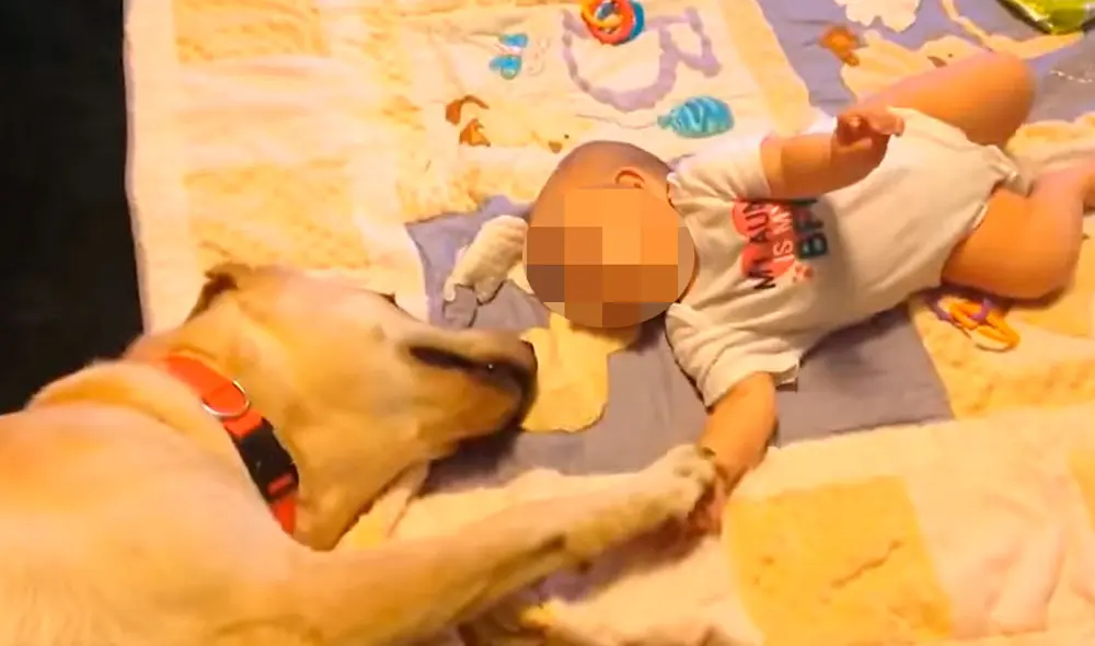 Una mujer ingresó a su cuarto para estar otra vez con su pequeña, sin imaginar que sería testigo de una tierna escena. Foto: captura de Facebook