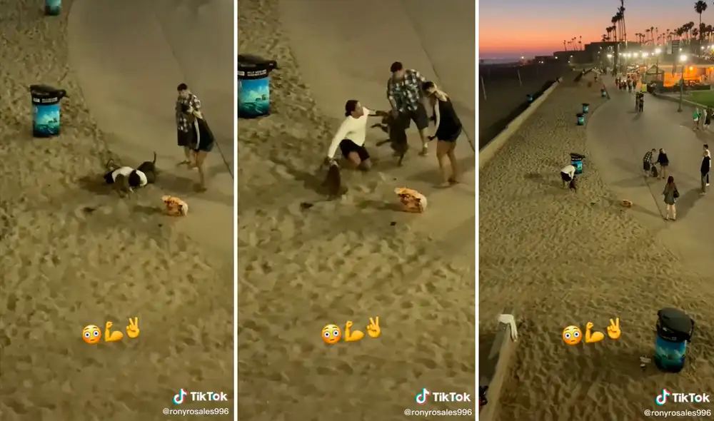 El hombre tuvo que acostarse sobre ambos canes para detener la pelea. Foto: captura de TikTok El hombre tuvo que acostarse sobre ambos canes para detener la pelea. Foto: captura de TikTok