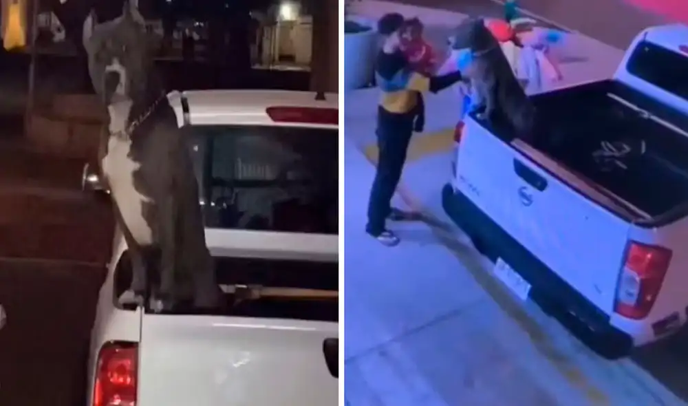 Una joven tuvo que acatar la orden de un establecimiento y dejó a su mascota en la parte trasera de su vehículo. Foto: captura de YouTube