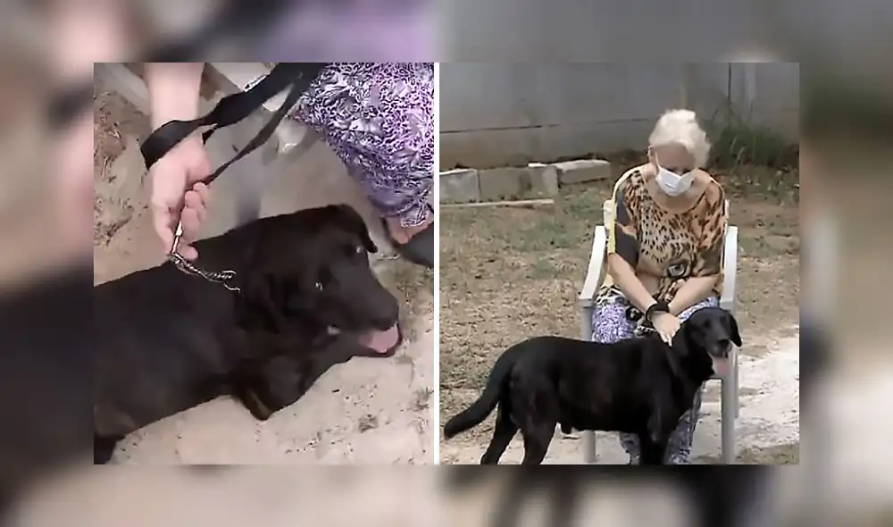 Doña Mara consiguió que la administración de la residencia apruebe la estadía de Bob. Foto: G1