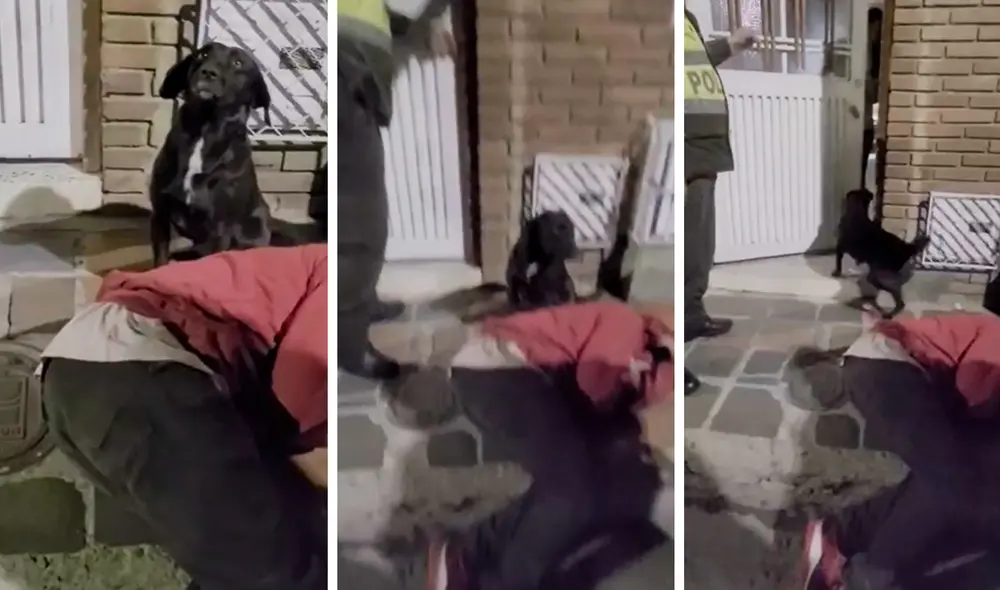 La escena sumó alrededor de 400.000 reproducciones. Foto: Facebook