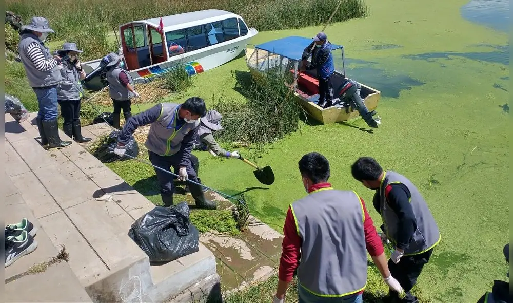Voluntarios recogieron basura de las orillas del lago. Foto: Municipio de Puno Voluntarios recogieron basura de las orillas del lago. Foto: Municipio de Puno