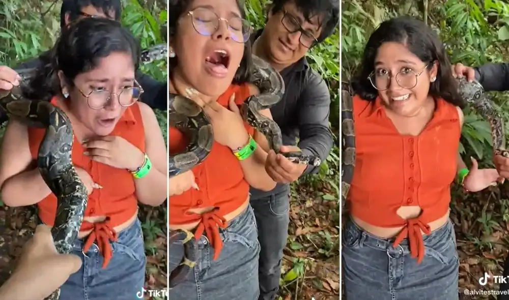 El hocico del gran animal fue enrollado con una cinta para evitar mayores peligros. Foto: captura de TikTok