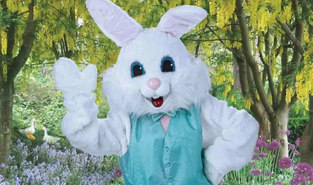 El Conejo de Pascua es uno de los personajes más queridos por los niños. Foto: Cabela's / Facebook