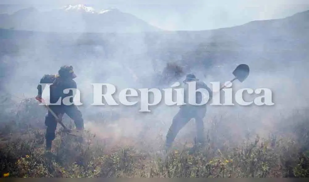 Existe la posibilidad de que el incendio haya sido provocado por personas que realizaron fogatas y se retiraron del lugar sin apagarlas. Foto: Rodrigo Talavera/La República