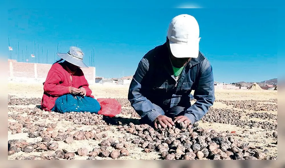 La generación de empleo es importante para superar este problema social. Foto: La República