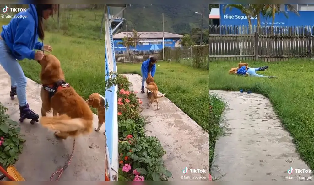 La joven recibió el cariño de sus mascotas al caer al césped. Foto: captura de TikTok