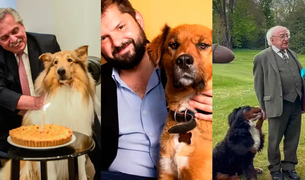 Las mascotas presidenciales se han ganado el cariño de cientos de ciudadanos. Foto: captura de Instagram