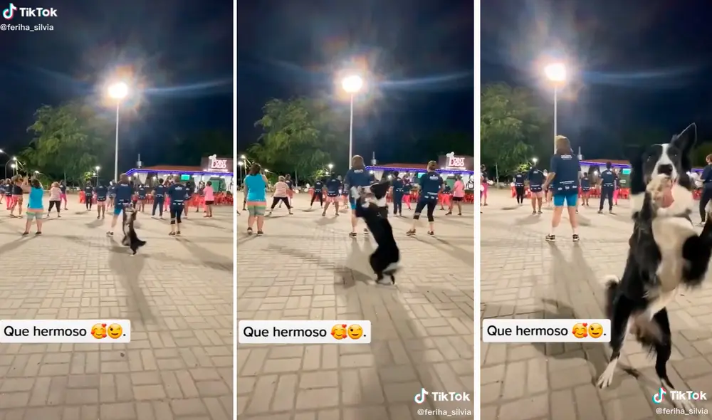 El perrito se robó el show durante una clase de zumba. Foto: captura de TikTok