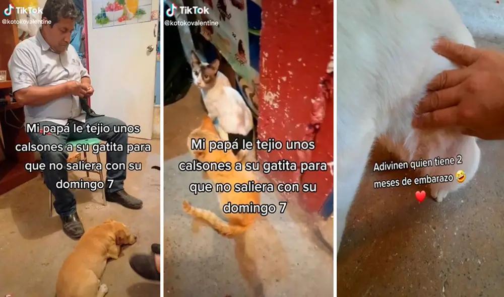 Pese a sus esfuerzos por cuidar a su mascota a todas horas, él se enteró que tenía unos dos meses de gestación. Foto: captura de Facebook