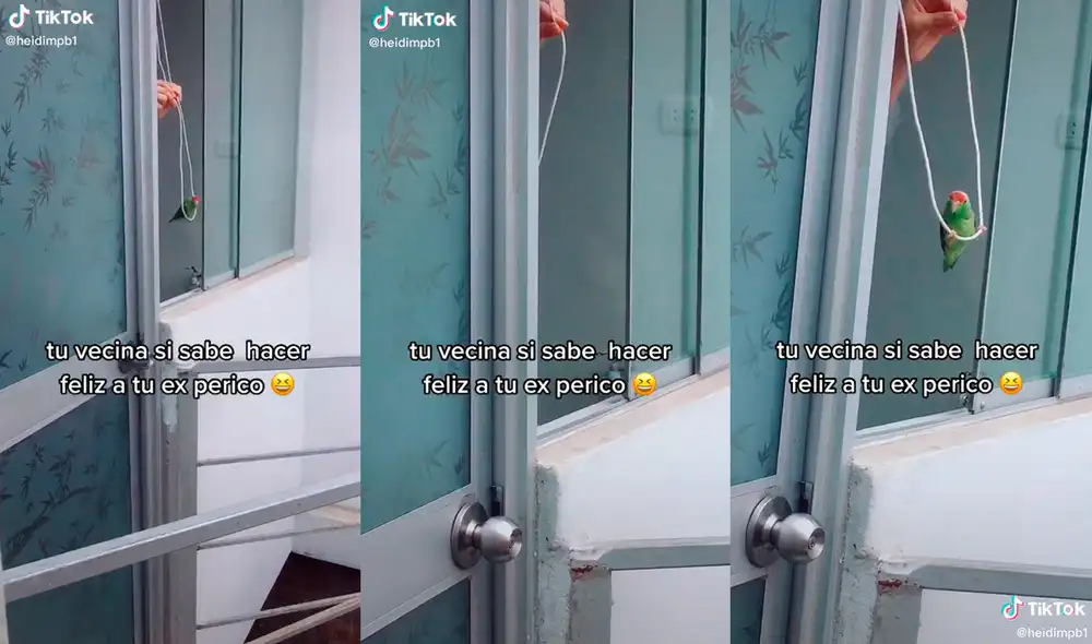 La mujer columpiando al perico. Foto: captura de TikTok