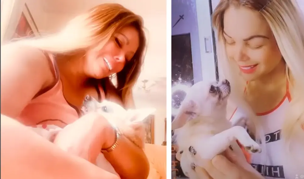 Shirley Cherres le puso de nombre a su perrita "Dulce Cherres”. Foto: Shirley Cherres/Instagram