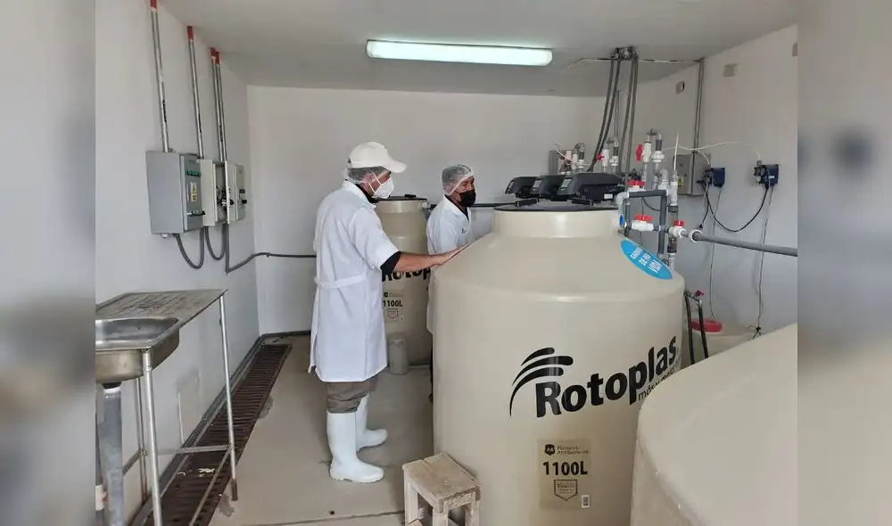 Planta de lácteos superó con excelente calificación la evaluación de la Diresa Cusco. Foto: Antapaccay Planta de lácteos superó con excelente calificación la evaluación de la Diresa Cusco. Foto: Antapaccay