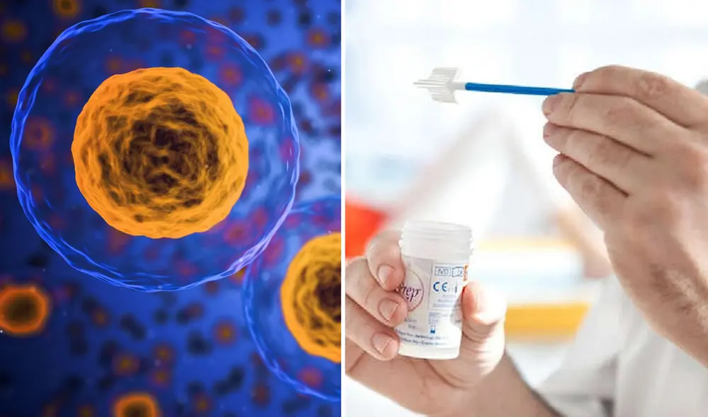 Conoce qué estudia la citología y con qué frecuencia se debe realizar una evaluación citológica. Foto: composición Pixabay Conoce qué estudia la citología y con qué frecuencia se debe realizar una evaluación citológica. Foto: composición Pixabay