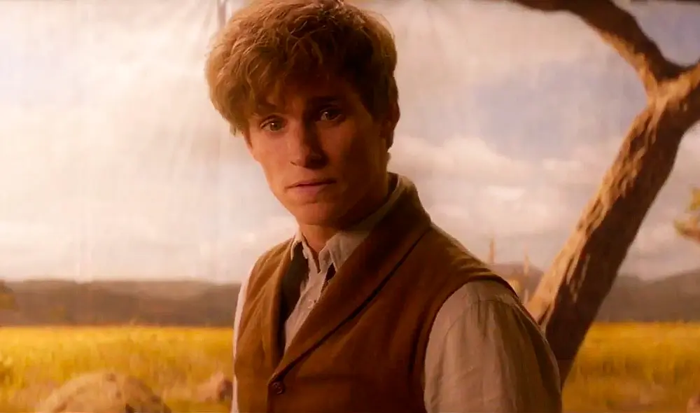 Nuevas entregas de "Animales fantásticos" mostrarían batalla final entre Dumbledore y Grindelwald. Foto: composición / Warner Bros