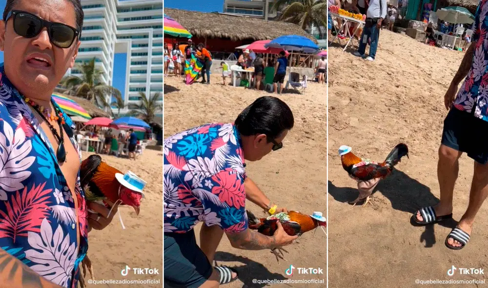 Los veraneantes quedaron sorprendidos al ver al gallo con su traje playero. Foto: captura de TikTok Los veraneantes quedaron sorprendidos al ver al gallo con su traje playero. Foto: captura de TikTok
