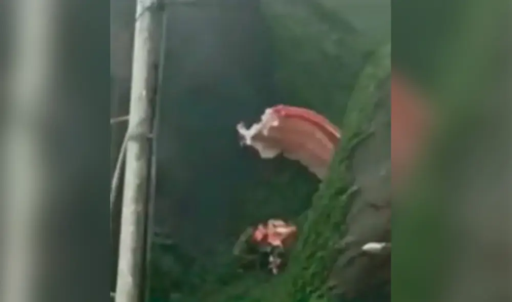 Accidente ocurrió durante el feriado largo de Semana Santa. Foto: captura Latina Noticias