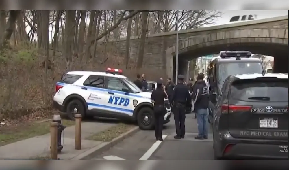 Orsolya Gaal fue apuñalada en repetidas ocasiones. Foto: Captura de video Orsolya Gaal fue apuñalada en repetidas ocasiones. Foto: Captura de video