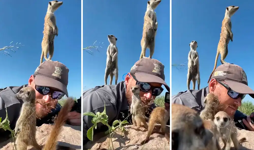El fotógrafo permaneció echado por varios minutos en medio de la selva africana, mientras los animales jugaban en su espalda. Foto: captura de YouTube El fotógrafo permaneció echado por varios minutos en medio de la selva africana, mientras los animales jugaban en su espalda. Foto: captura de YouTube